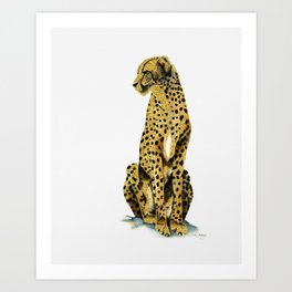 Cheetah - Gold Art Print