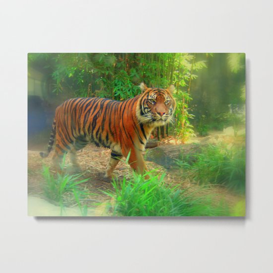 Tiger Tiger Metal Print