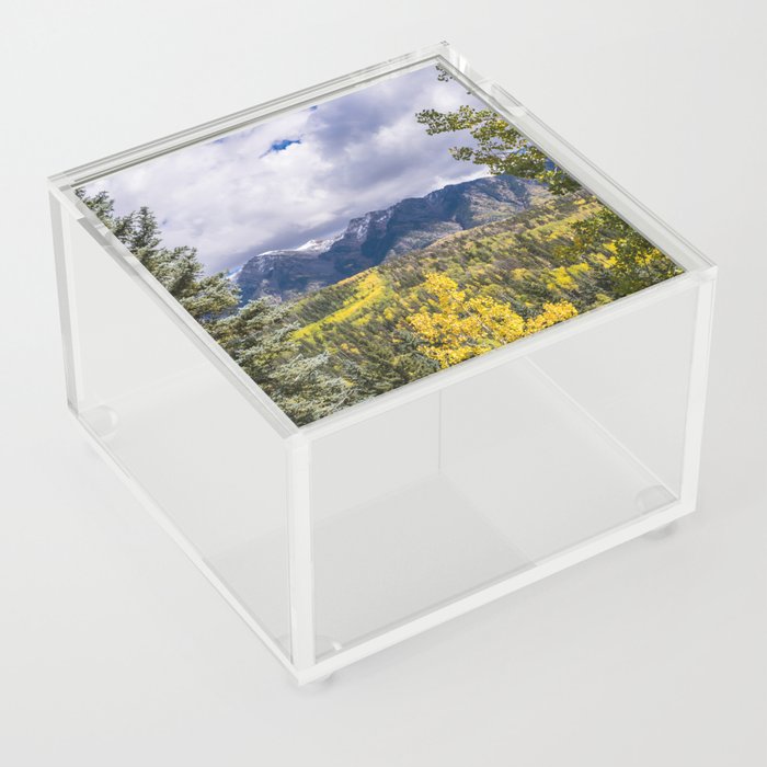 Mountain View Through the Trees - Colorado Acrylic Box