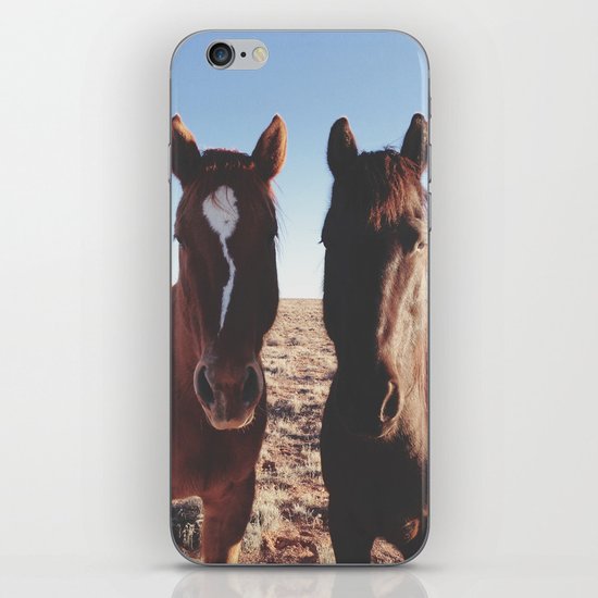 Horse Friends iPhone & iPod Skin