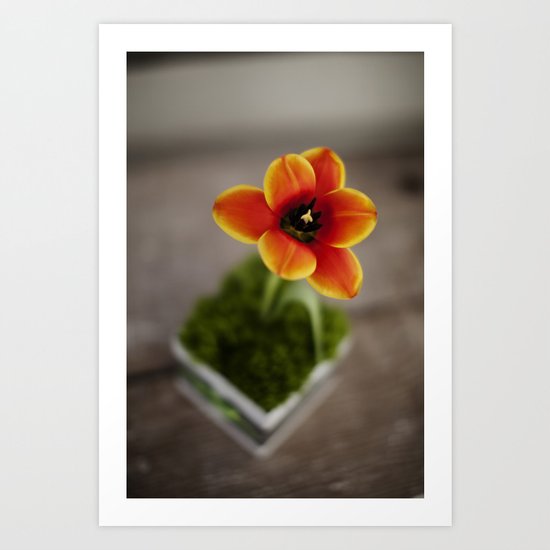FLOWER ON FIRE Art Print