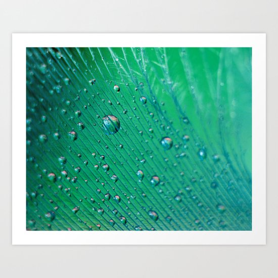 Emerald Feather Art Print