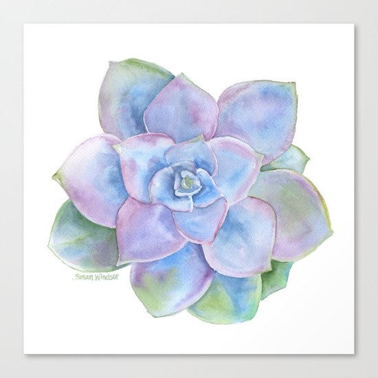 Succulent Canvas Print