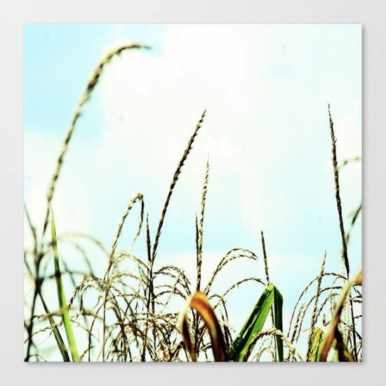 Reach for the Clouds Canvas Print