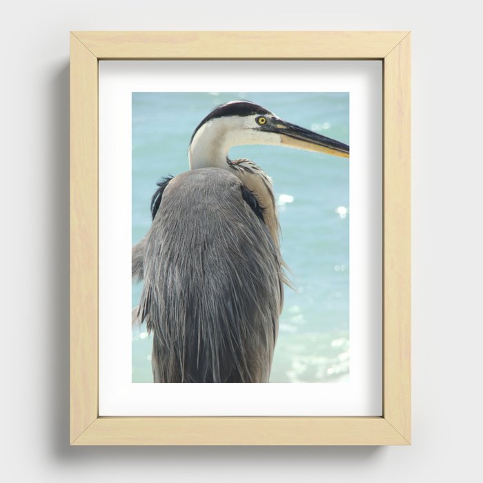 Barry the Blue Heron Recessed Framed Print