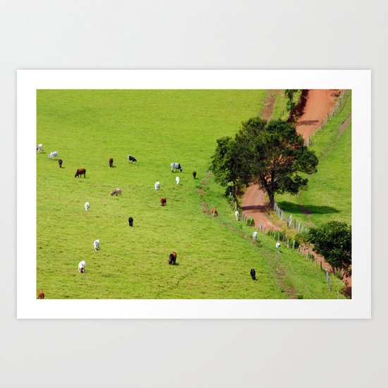 their path Art Print