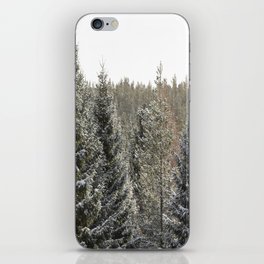 After The Snow Fall  iPhone Skin