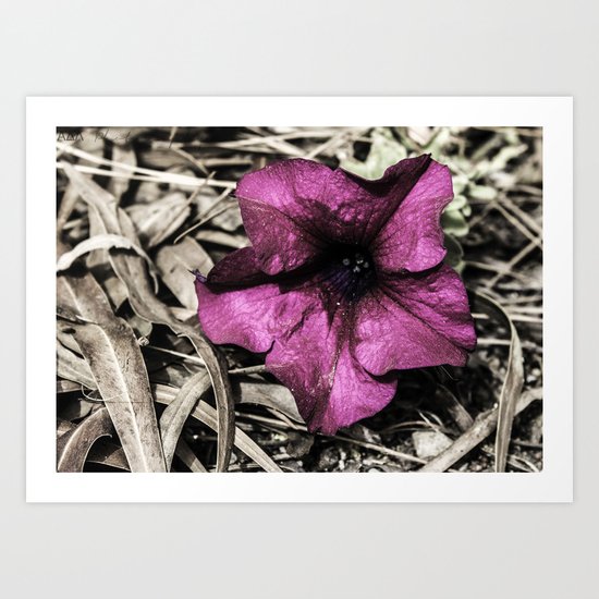 distinctive Art Print
