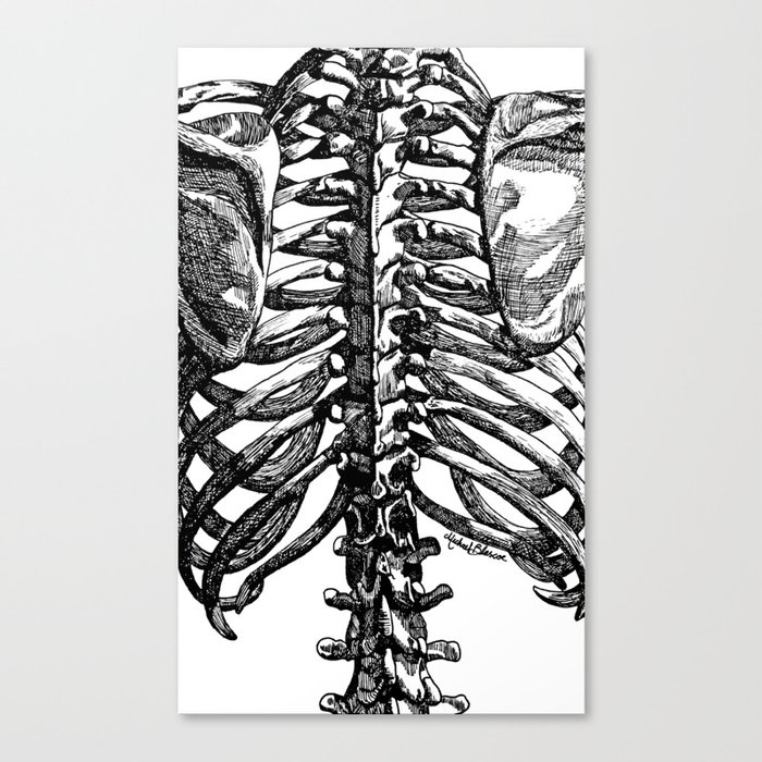 Medical Diagram of a Spine Canvas Print