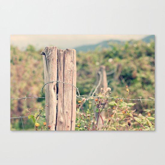 Countryside Canvas Print