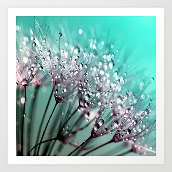 Dandelion Blue Diamonds Art Print