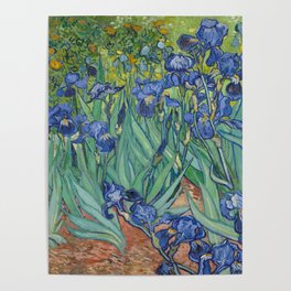 Irises, Vincent Van Gogh Poster