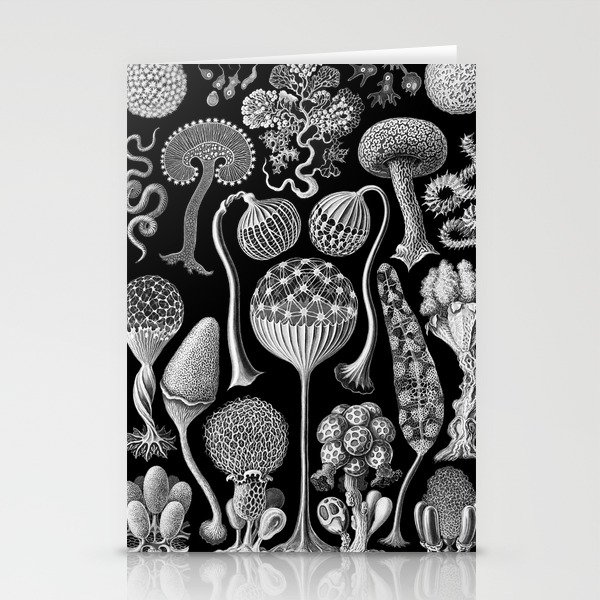 Slime Molds (Mycetozoa) by Ernst Haeckel Stationery Cards