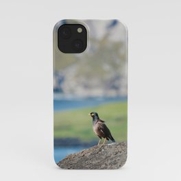 Site Seeing iPhone Case