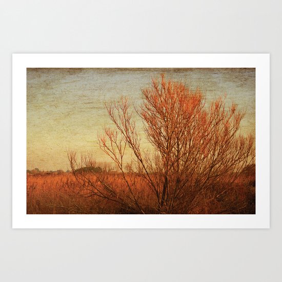 Autumn Art Print