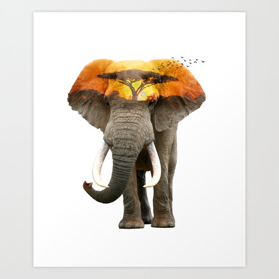 Elephant Art Print