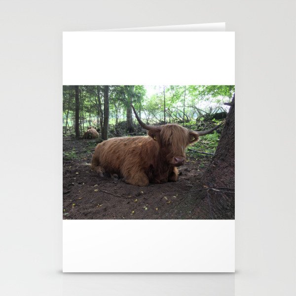 Fluffy Highland Cattle Cow 1185 Stationery Cards