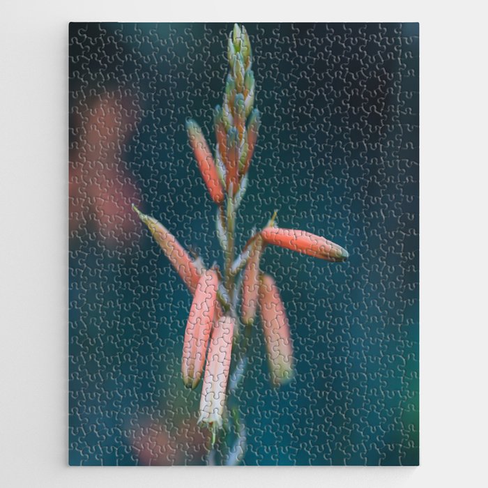 Succulent in Bloom Jigsaw Puzzle