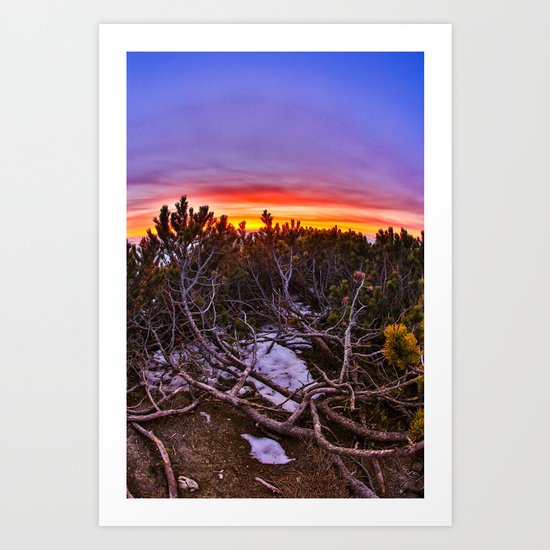 Nature colors Art Print