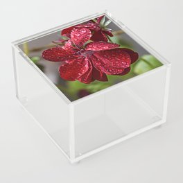 Rainy Blooming Flower Acrylic Box