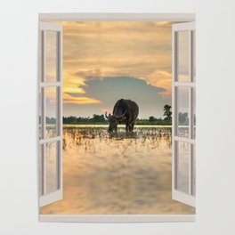 Peaceful Carabao | OPEN WINDOW ART Poster