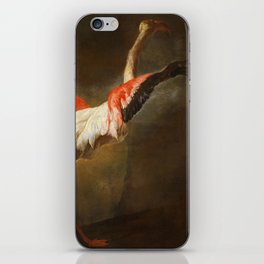 Flamingo by Pieter Boel iPhone Skin
