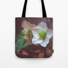Linda Niederberger S Store Society6