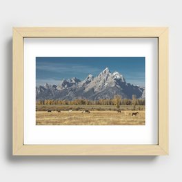 Just Horsing Around Recessed Framed Print