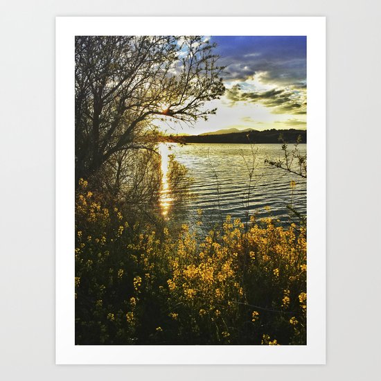 "Yellow flowers at sunset" Art Print