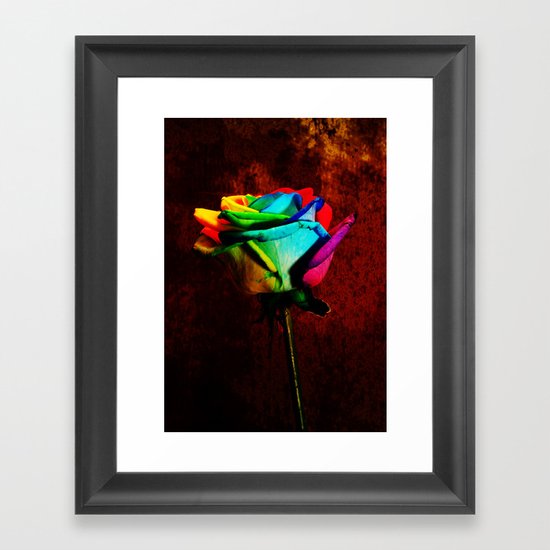 Rainbow rose 2 Framed Art Print