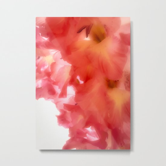 Soft Red Gladiola Metal Print