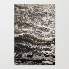 Torrent river Canvas Print