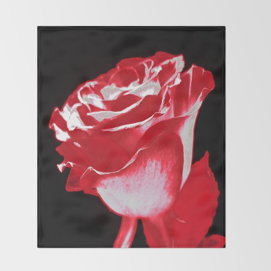 Colorful Rose P Throw Blanket