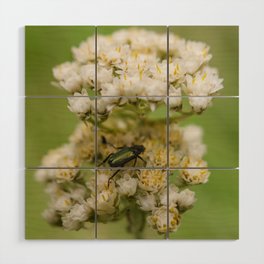 Flower and Beetle Wood Wall Art