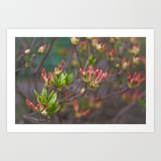 feel me Art Print