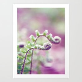 Ferns in Green, Purple, and Pink Art Print