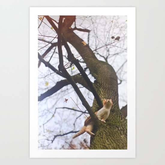 Little orange cat on a big tree Art Print