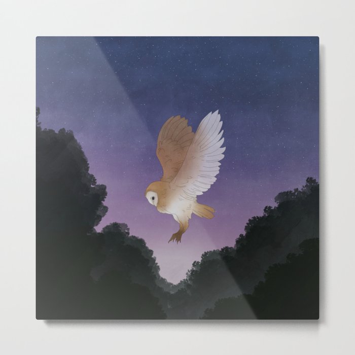 Flight - Owl Illustration Metal Print