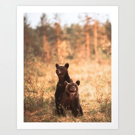Brown bear cubs Art Print