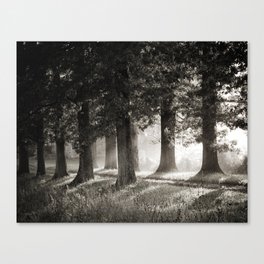 Summers' End Canvas Print