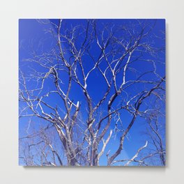 Dead Tree Defiance Metal Print | Pattern, Royalbluesky, Hdr, Landscape, Color, Embrace, Nature, Abstractexpression, Photo, Abstractrealism 