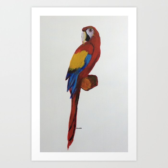 Macaw Acrylic Painting Art Print By Osvaldo Society6