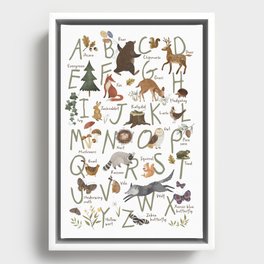 Woodland forest alphabet Framed Canvas