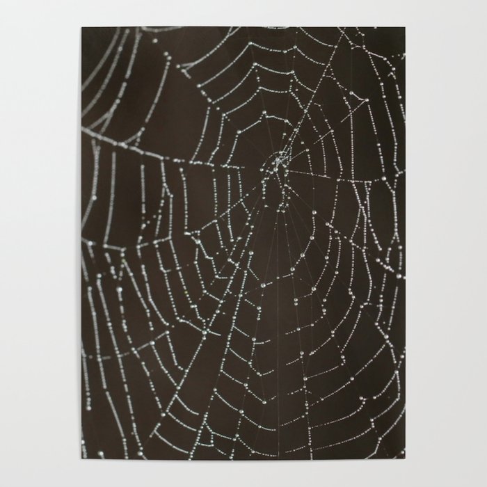 Spiderweb in Spring Poster