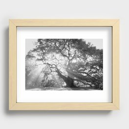 Angel Oak 2 Recessed Framed Print