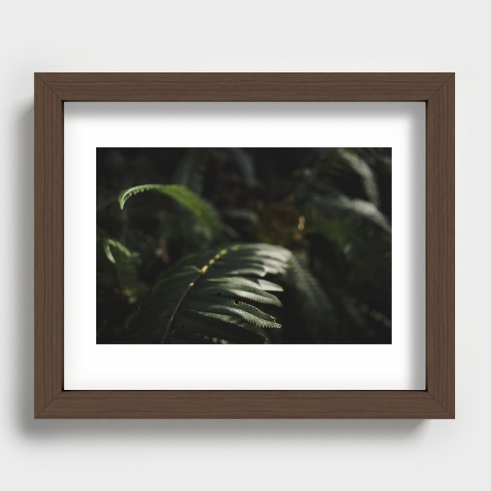 sword fern 2 Recessed Framed Print