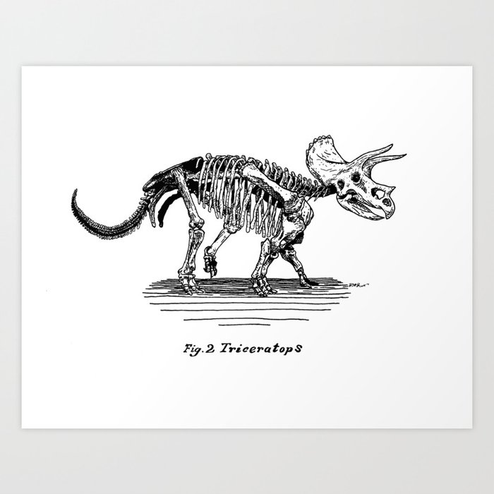 Figure Two: Triceratops Art Print