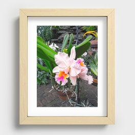 Orchid Pink Magenta Recessed Framed Print