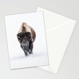 Yellowstone National Park: Lone Bull Bison Stationery Card