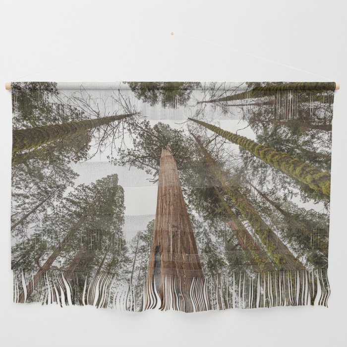 Sequoia Stretch - Nature Photography Wall Hanging